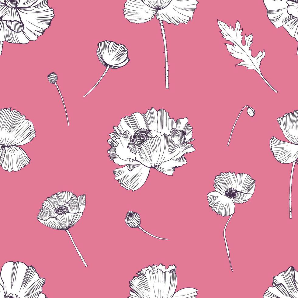 Seamless pattern with poppies flower. Colorful hand drawn background. vector