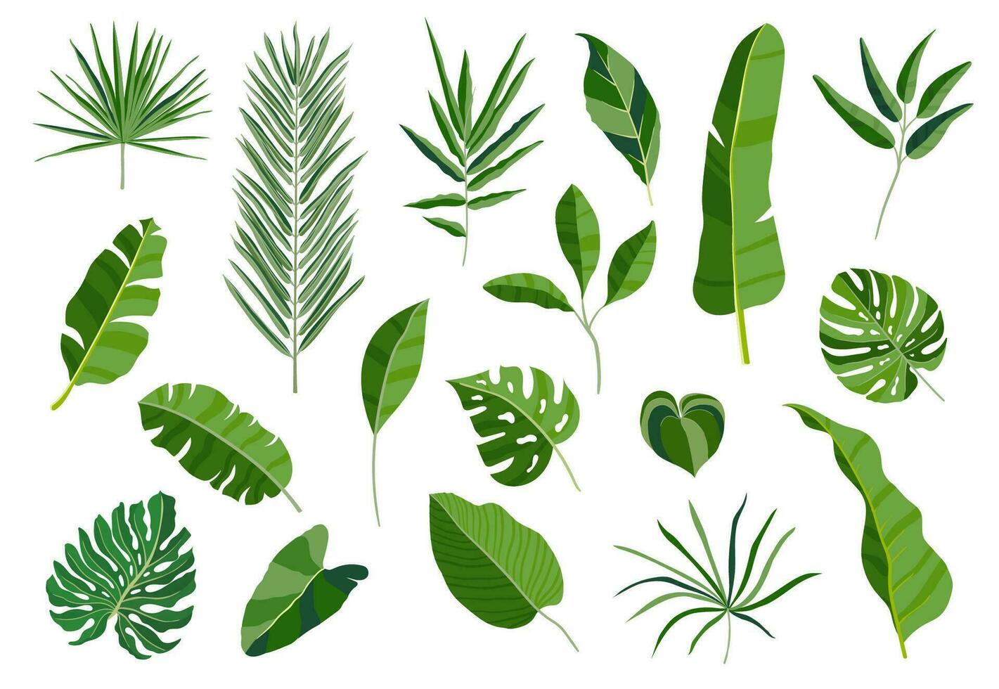 conjunto de tropical hojas. diferente verde hoja recopilación. vistoso vector ilustración en blanco antecedentes en dibujos animados estilo.