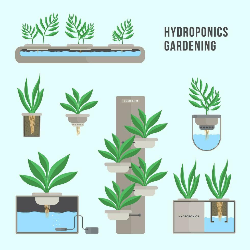 hidropónico sistema, jardinería tecnología. colección de diferente plantas en plano estilo. vector