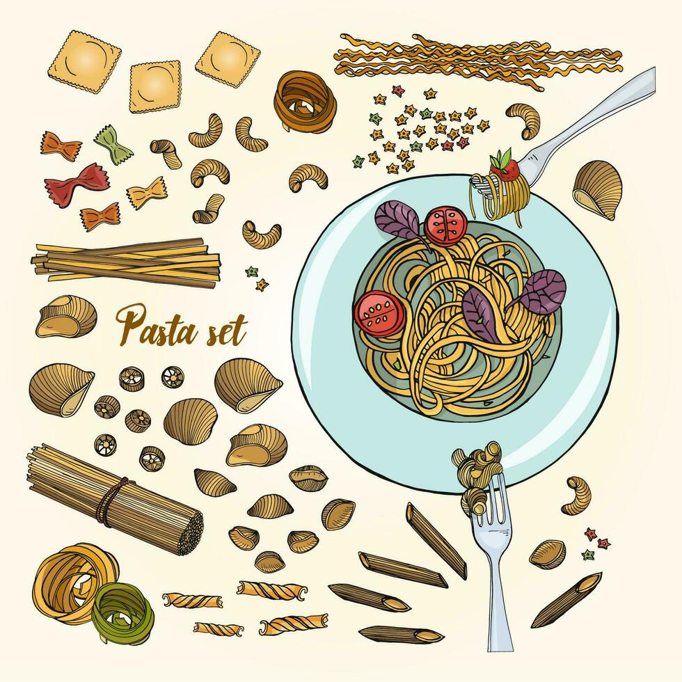 conjunto de diferente tipos pasta. vistoso mano dibujado colección espaguetis, macarrones, fusil, farfalle, Ravioles, tortiglioni, pasta. vector ilustración.