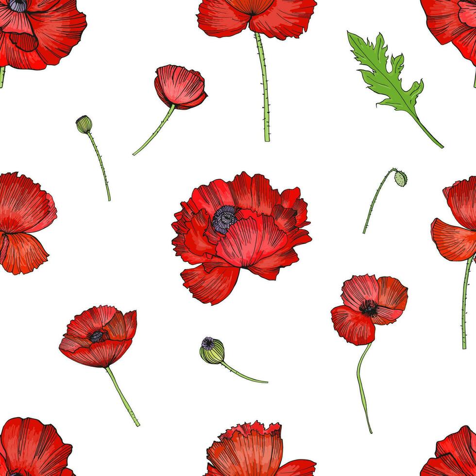 Seamless pattern with red poppies flower. Colorful bright hand drawn background. vector