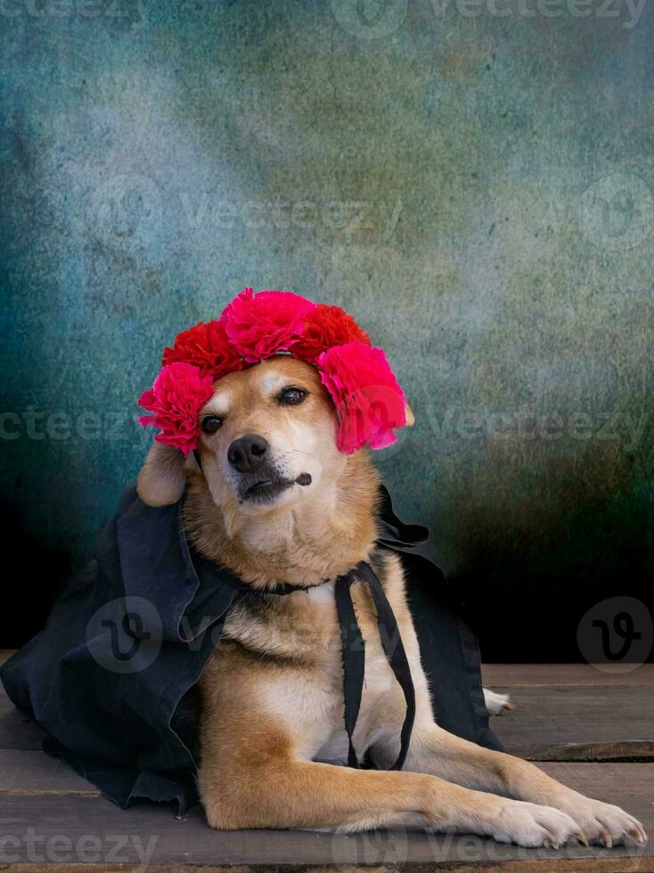 Dog dressed for the day of the dead with a flower crown on his head photo