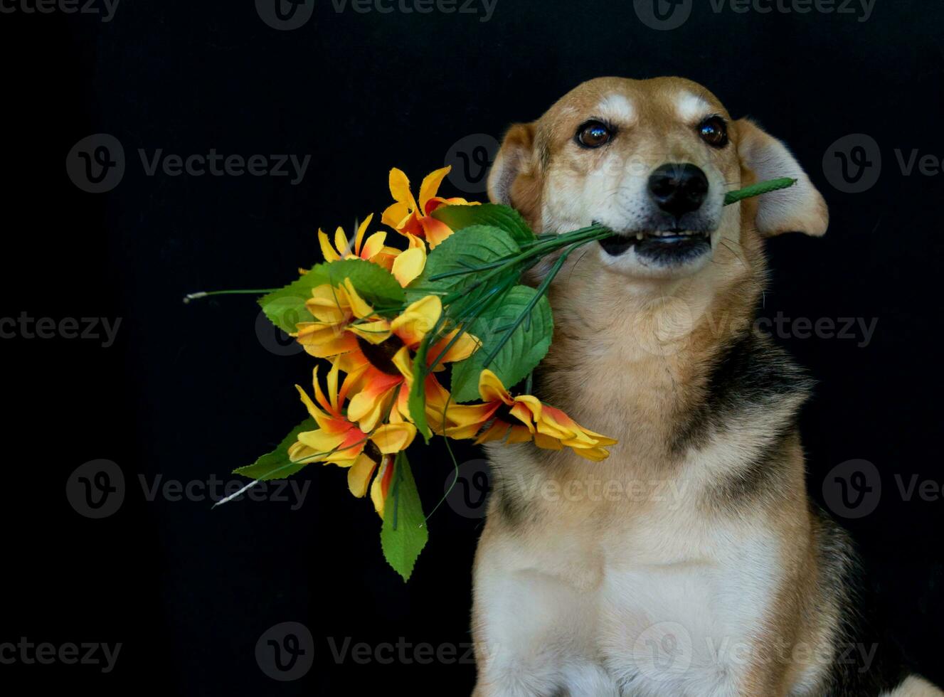 dog with a bouquet of flowers in his mouth photo