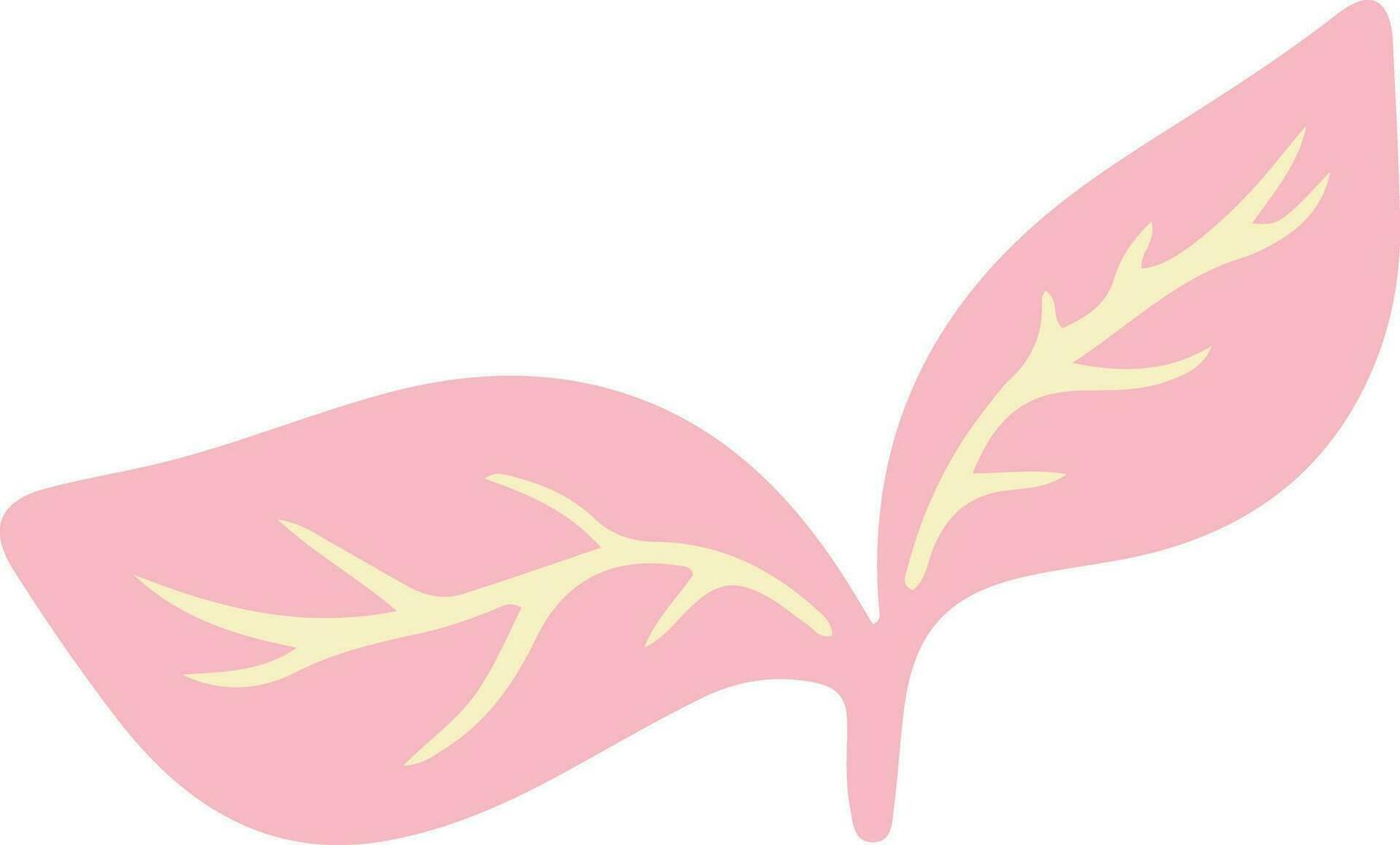 Hand Drawn Leaf Element vector