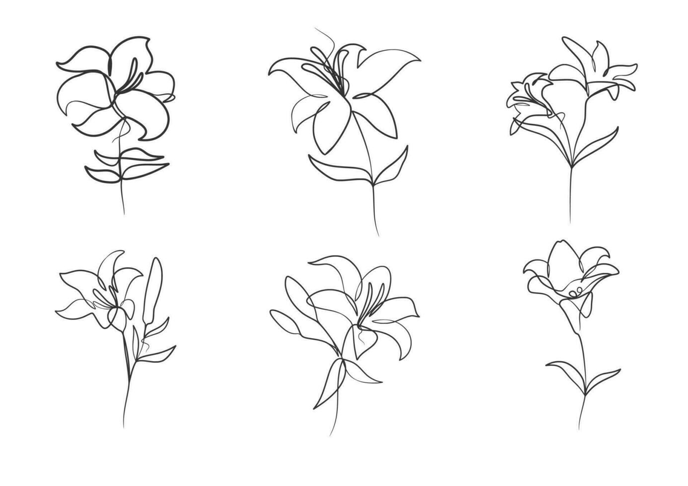 Continuous one line art drawing of beauty lily flower vector