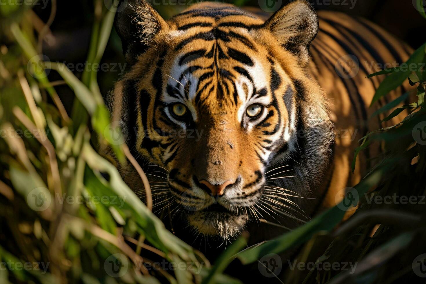 Portrait of Sumatran tiger in a jungle. Generative AI photo
