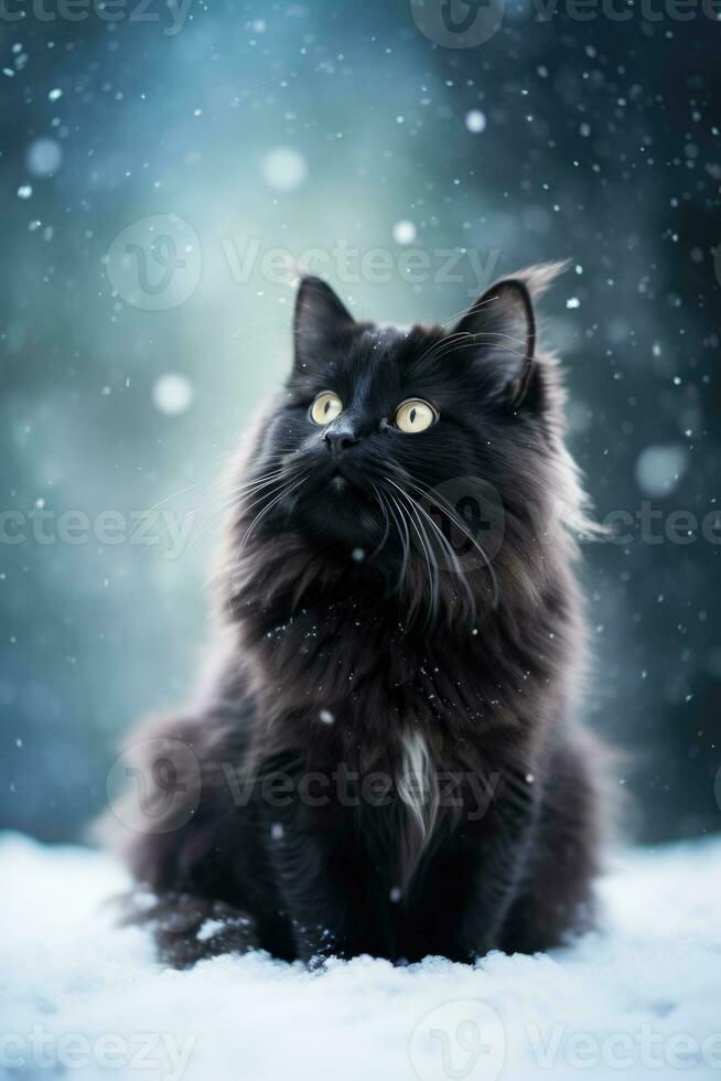 Furry black cat in winter with falling snow. Generative AI photo