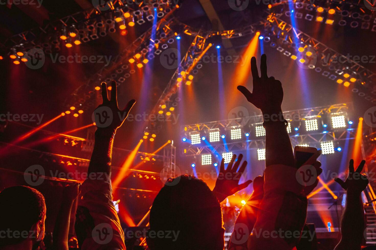 Rock concert crowd photo