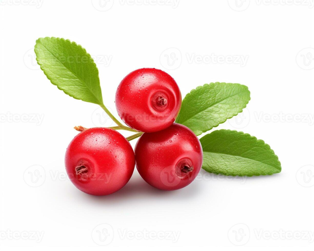 Photo of Lingonberry isolated on white background. Generative AI