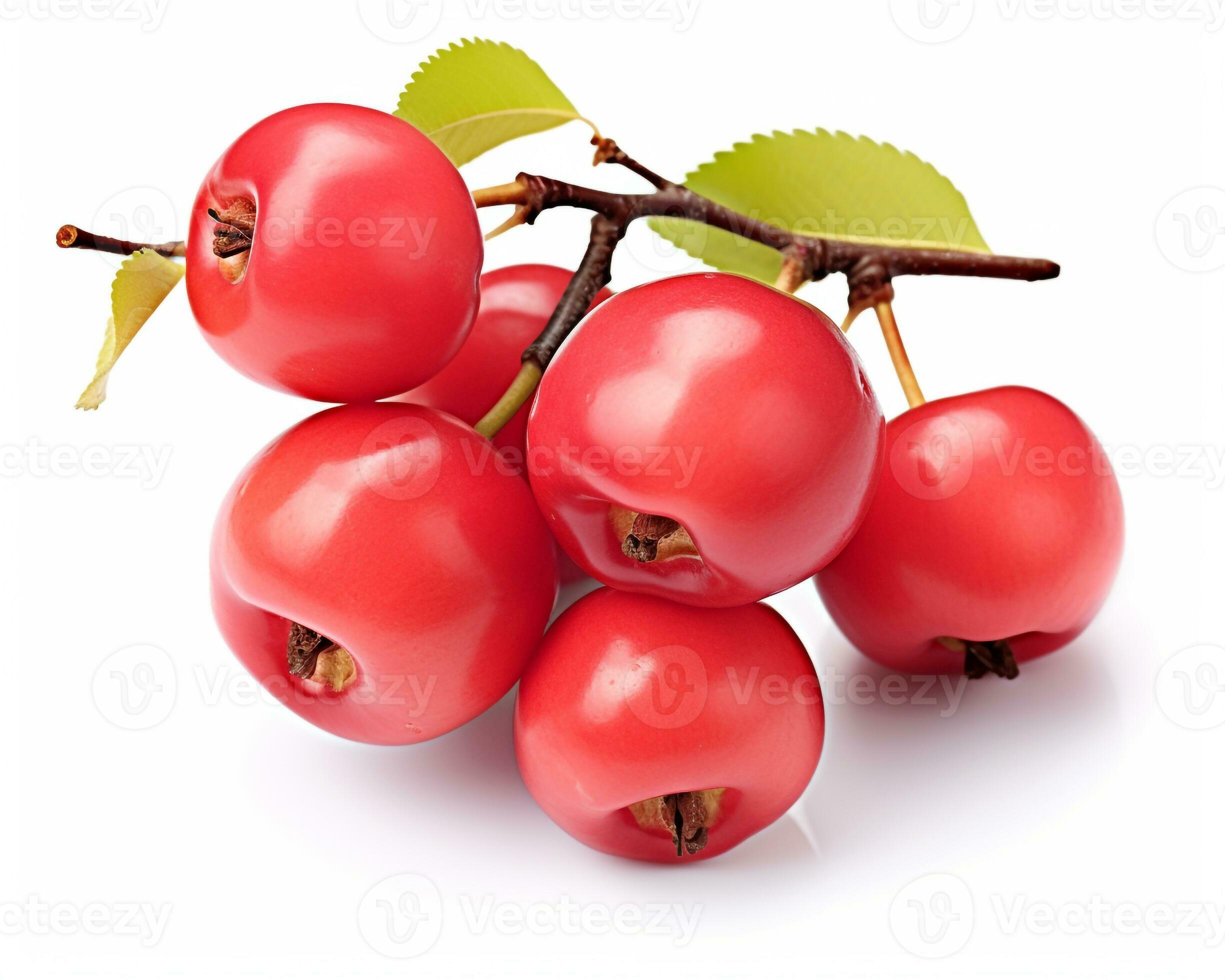 Photo of Crab apples isolated on white background. Generative AI