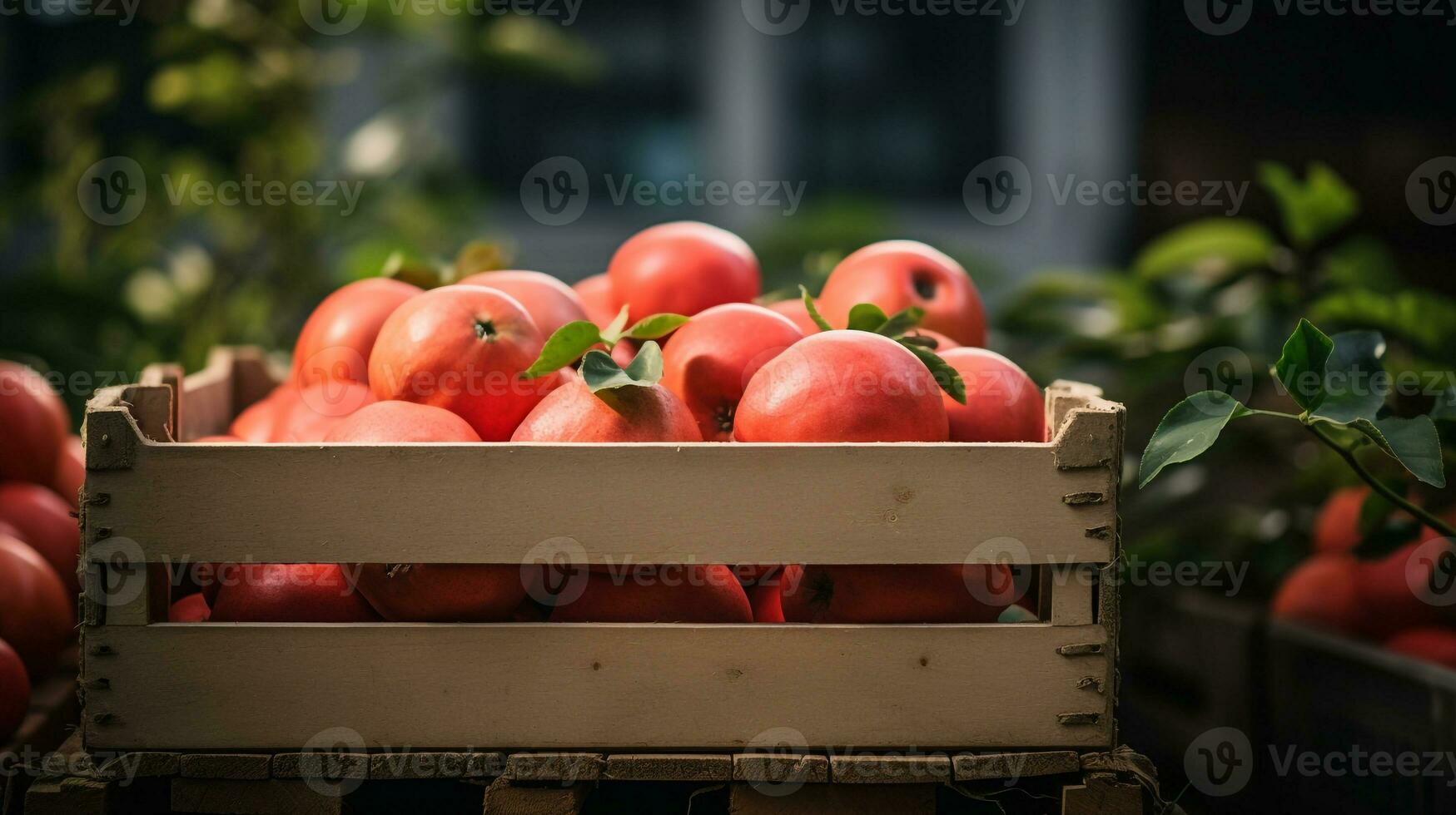 Freshly picked Quince fruit from garden placed in the boxes. Generative AI photo