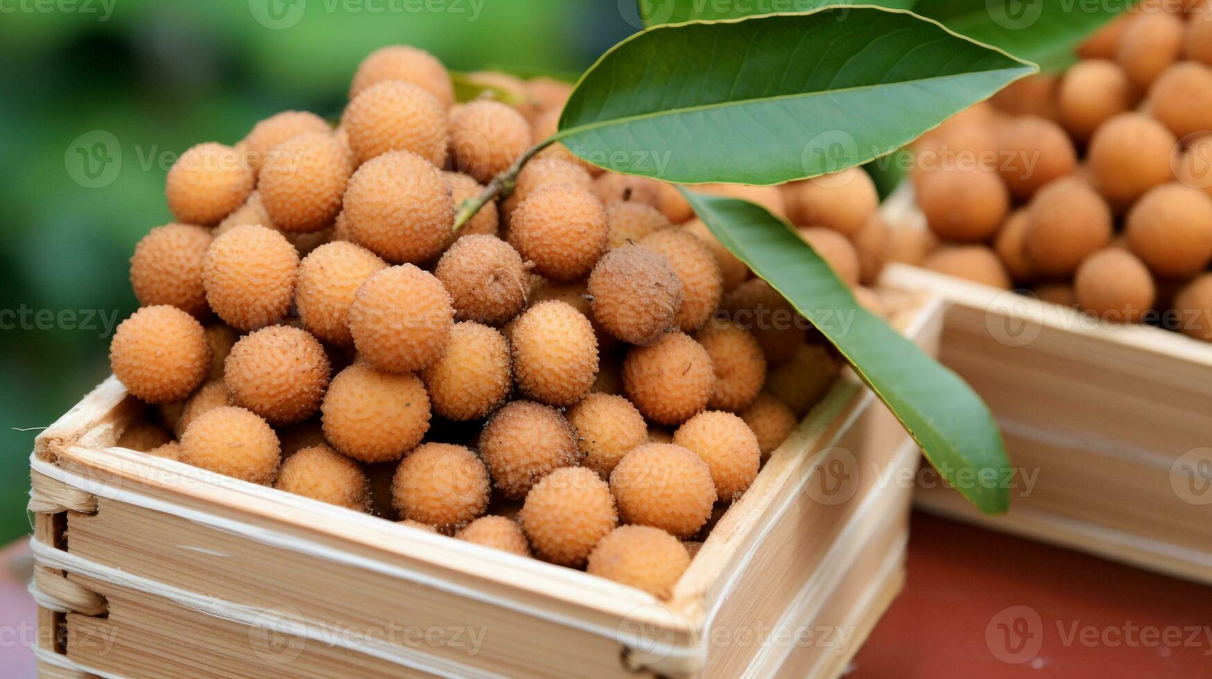 Freshly picked Longan fruit from garden placed in the boxes. Generative AI photo