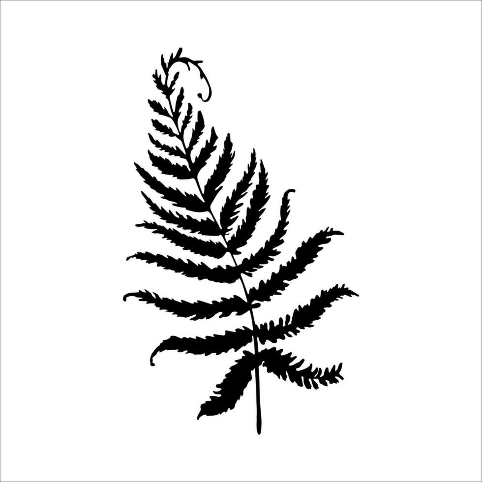 Hand drawn herbal, floral clipart. One line doodle vector