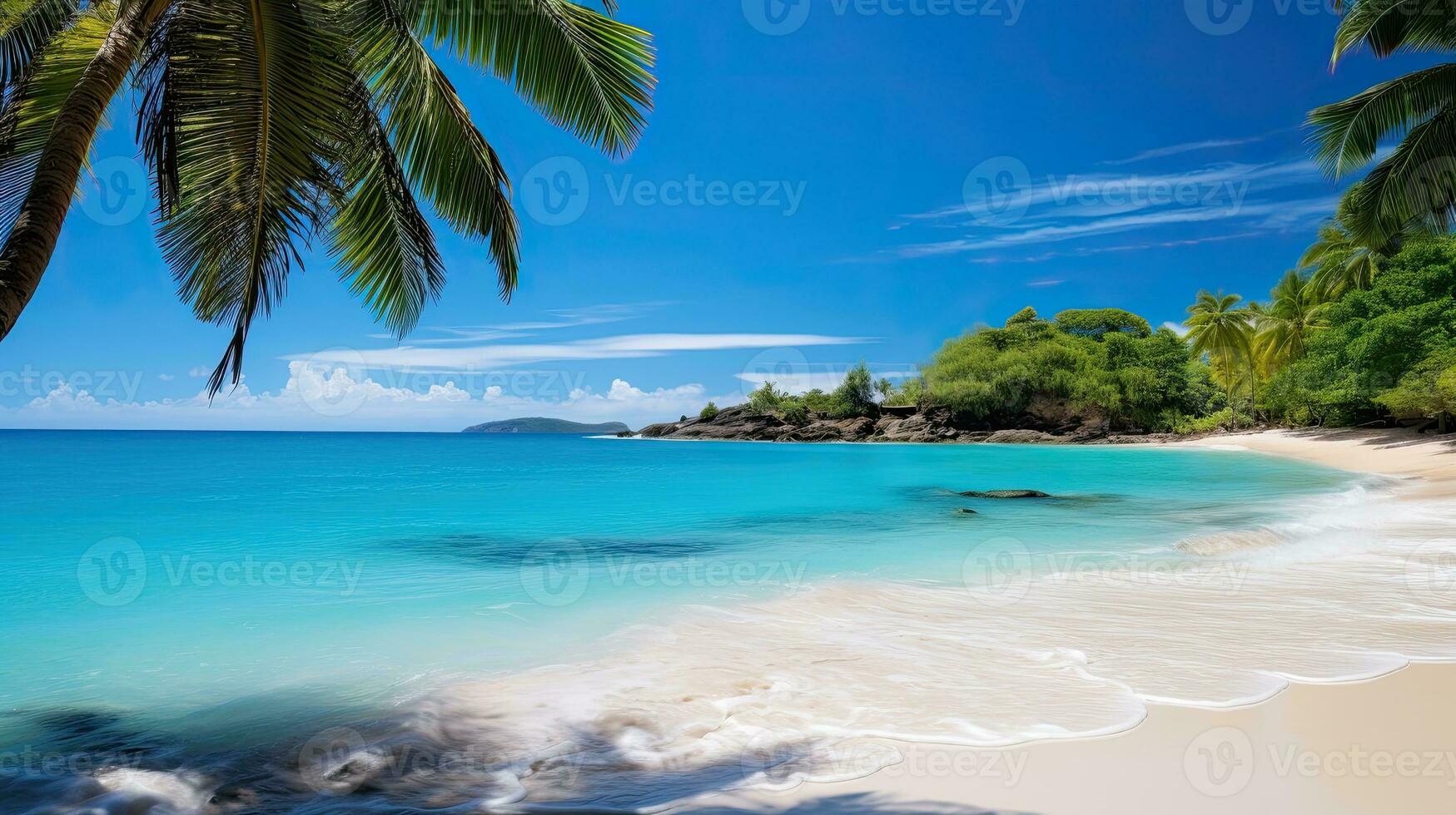 a beach with palm trees and blue water photo