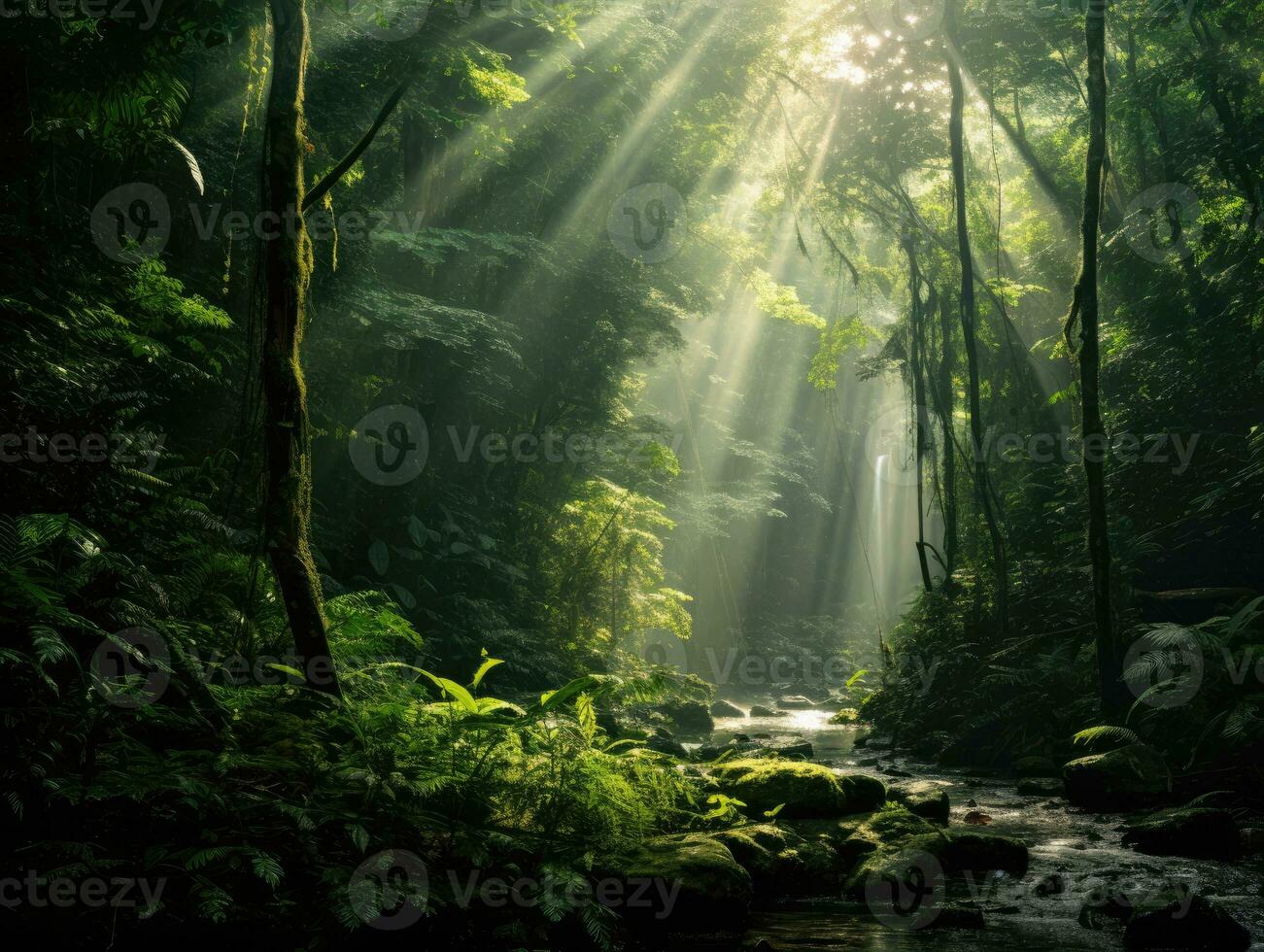 sunlight shining through trees and plants photo