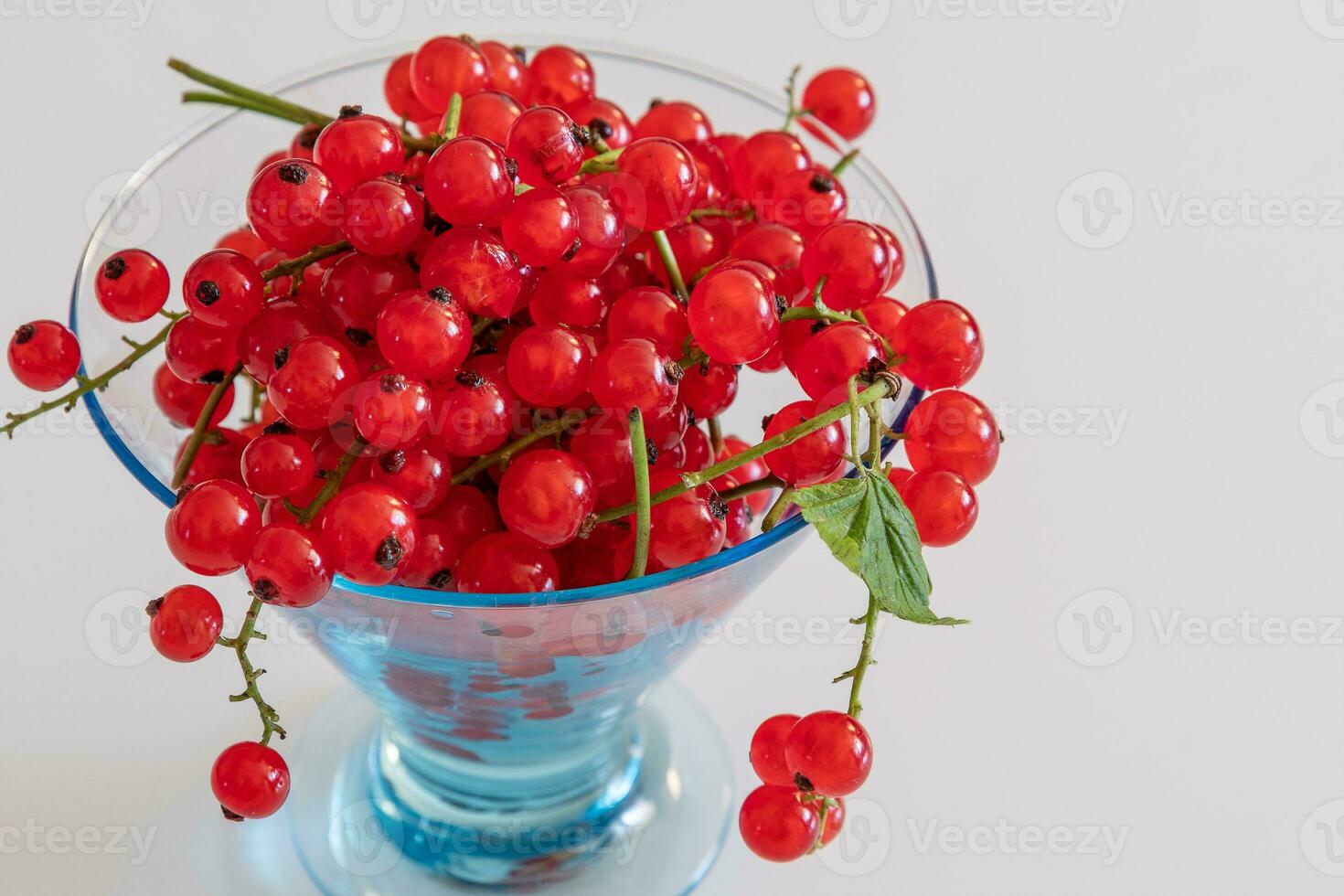 Red currant closeup on twigs in a transparent vase on a light background photo