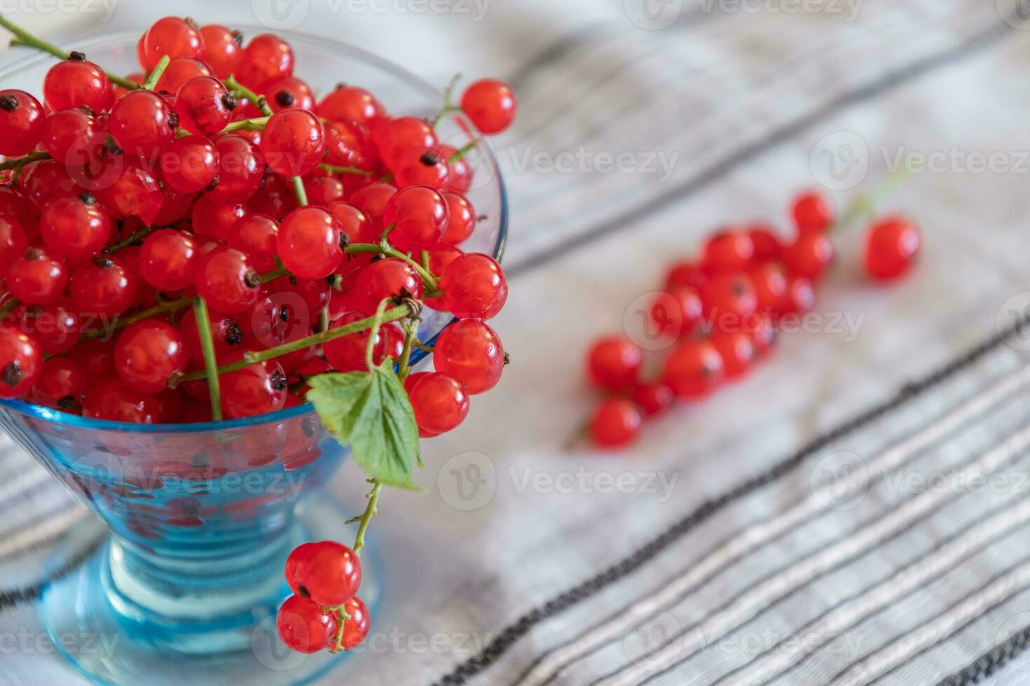 Close up of red currants on their stems in a clear vase on a linen coverlet photo