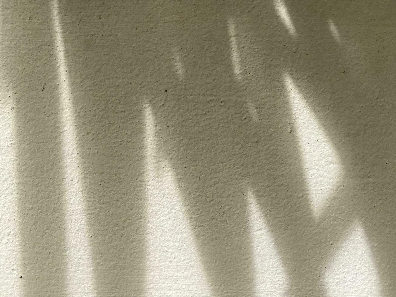 Leaves shadow background on concrete wall texture, leaves tree branches shade with sunlight photo