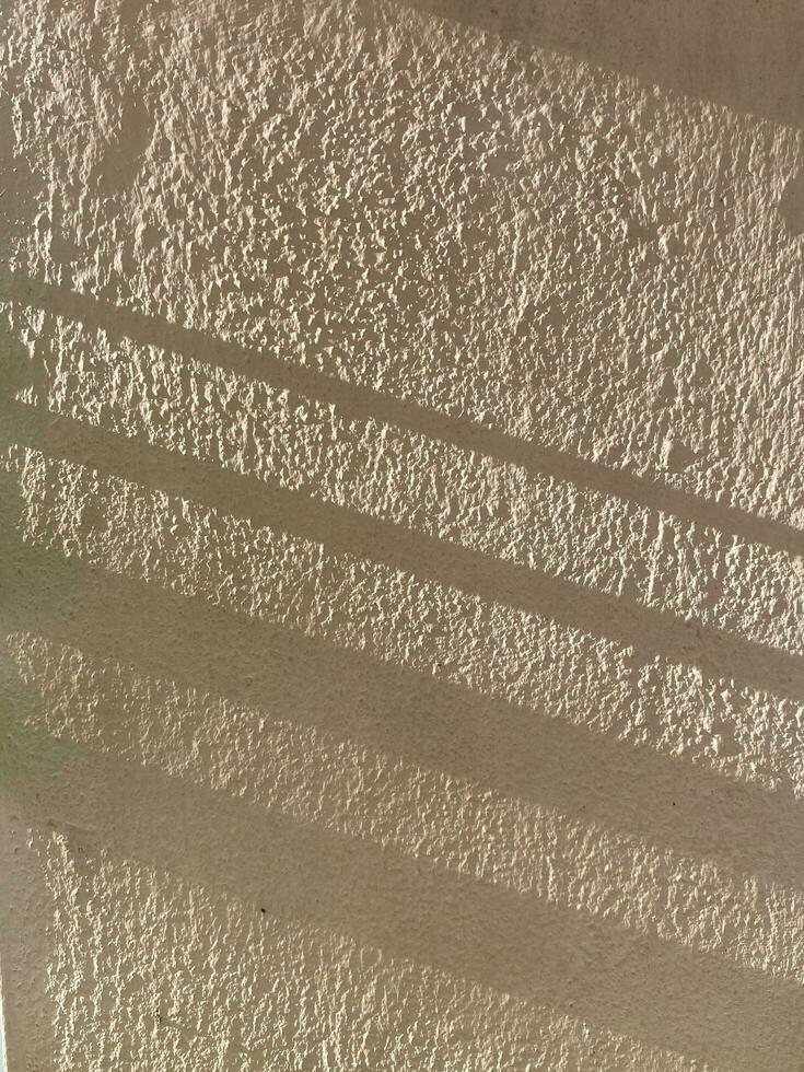 Leaves shadow background on concrete wall texture, leaves tree branches shade with sunlight photo