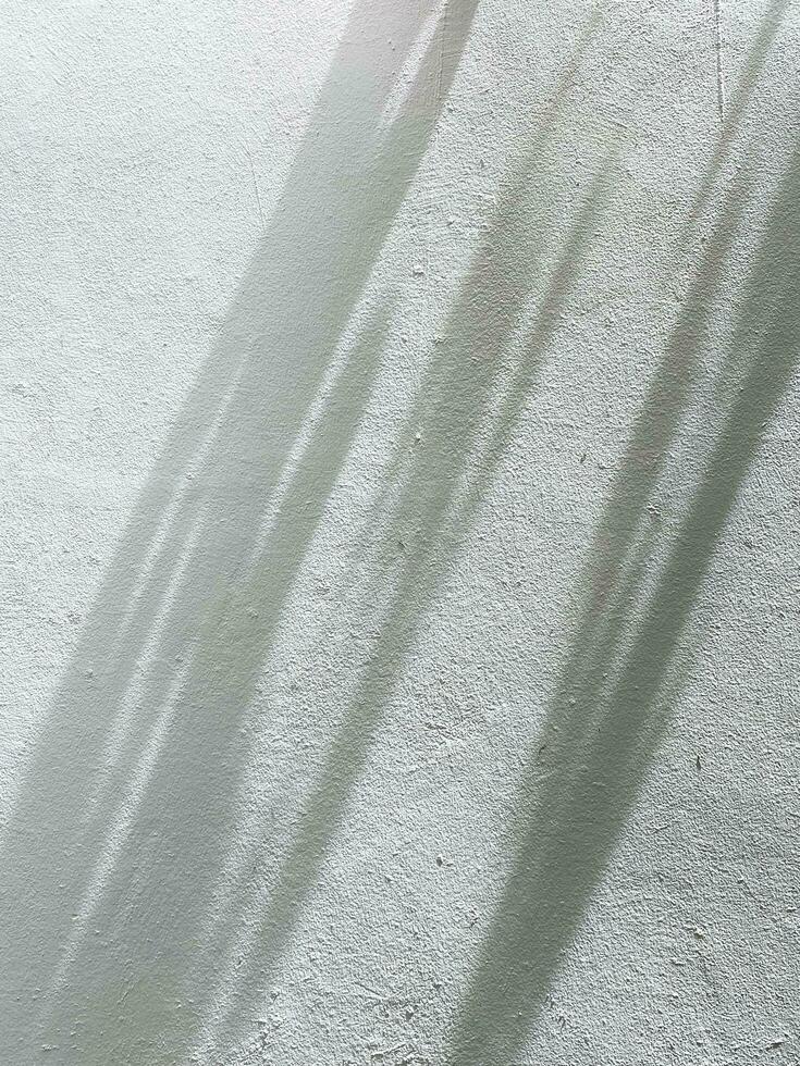 Leaves shadow background on concrete wall texture, leaves tree branches shade with sunlight photo