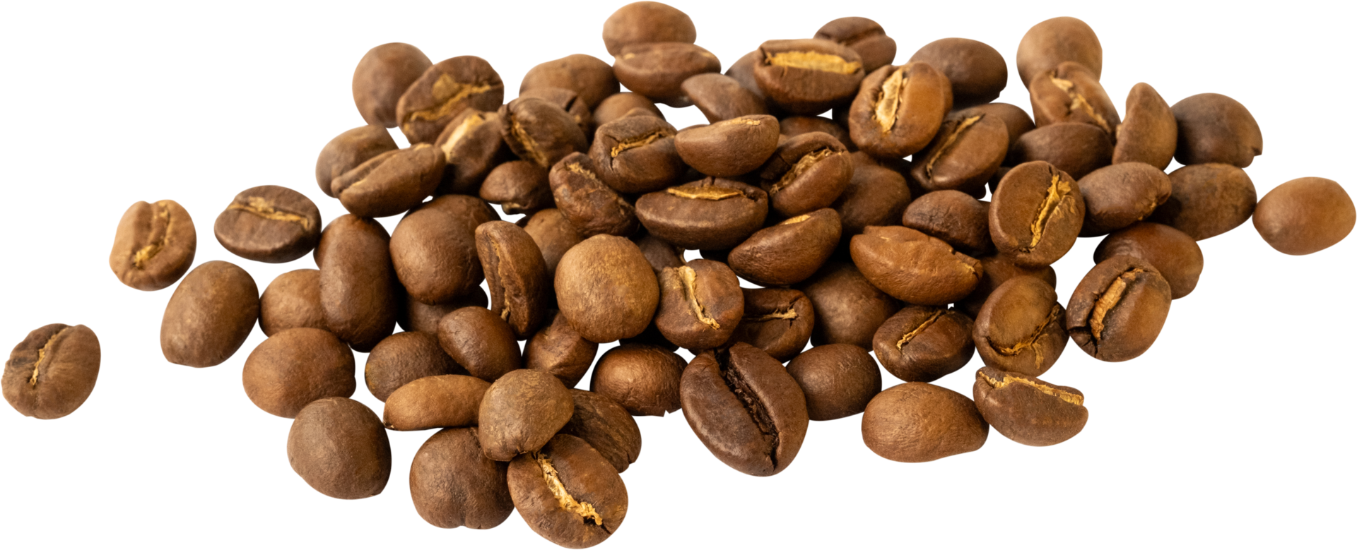 isolated coffee beans cut out on transparent background. png