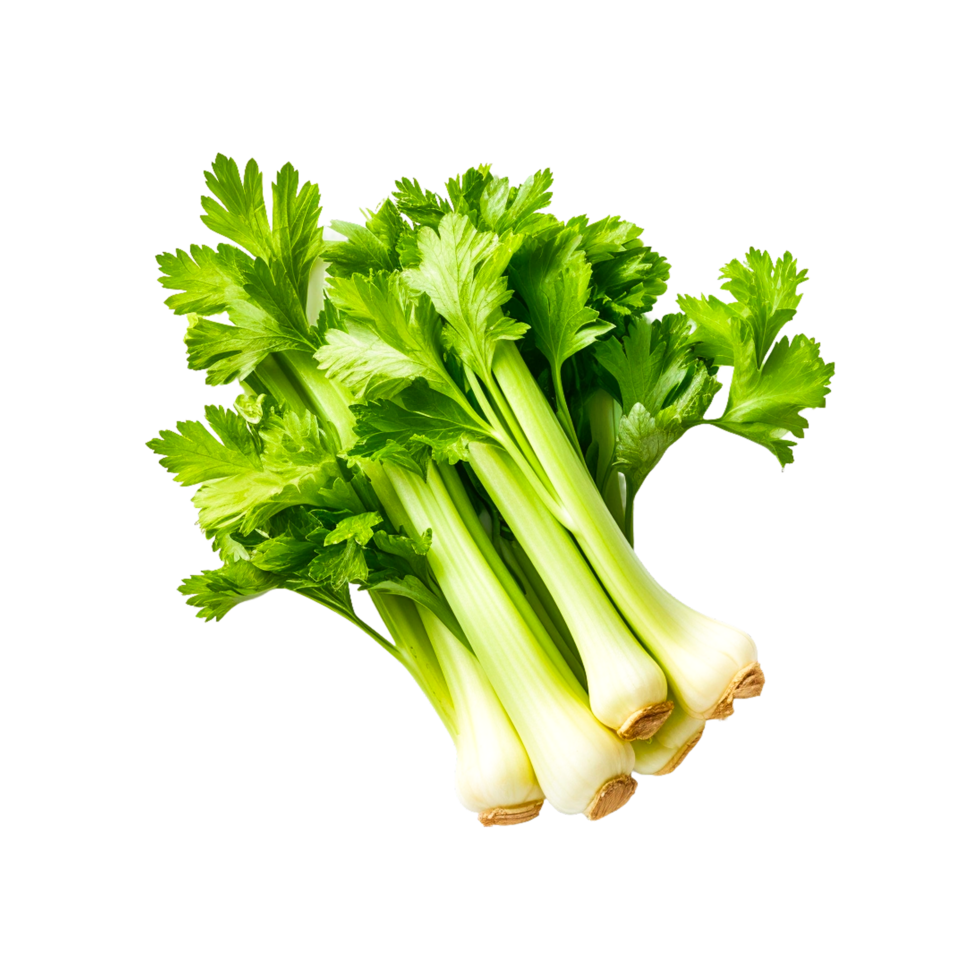 Fresh celery isolated Generative Ai png