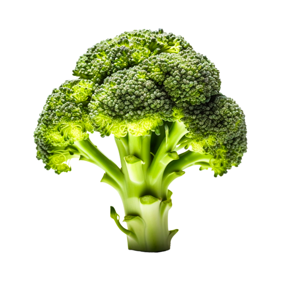 Fresh broccoli vegetable Generative Ai png