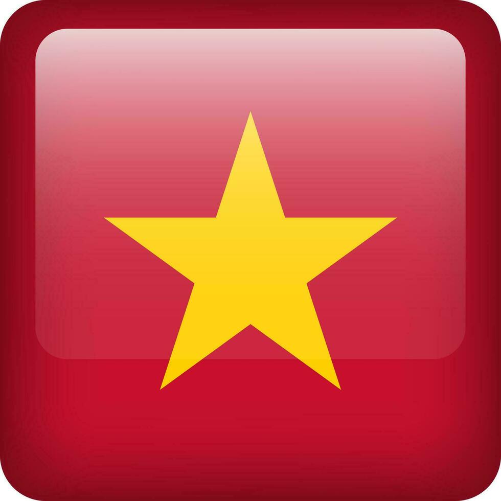 Vietnam flag button. Square emblem of Vietnam. Vector