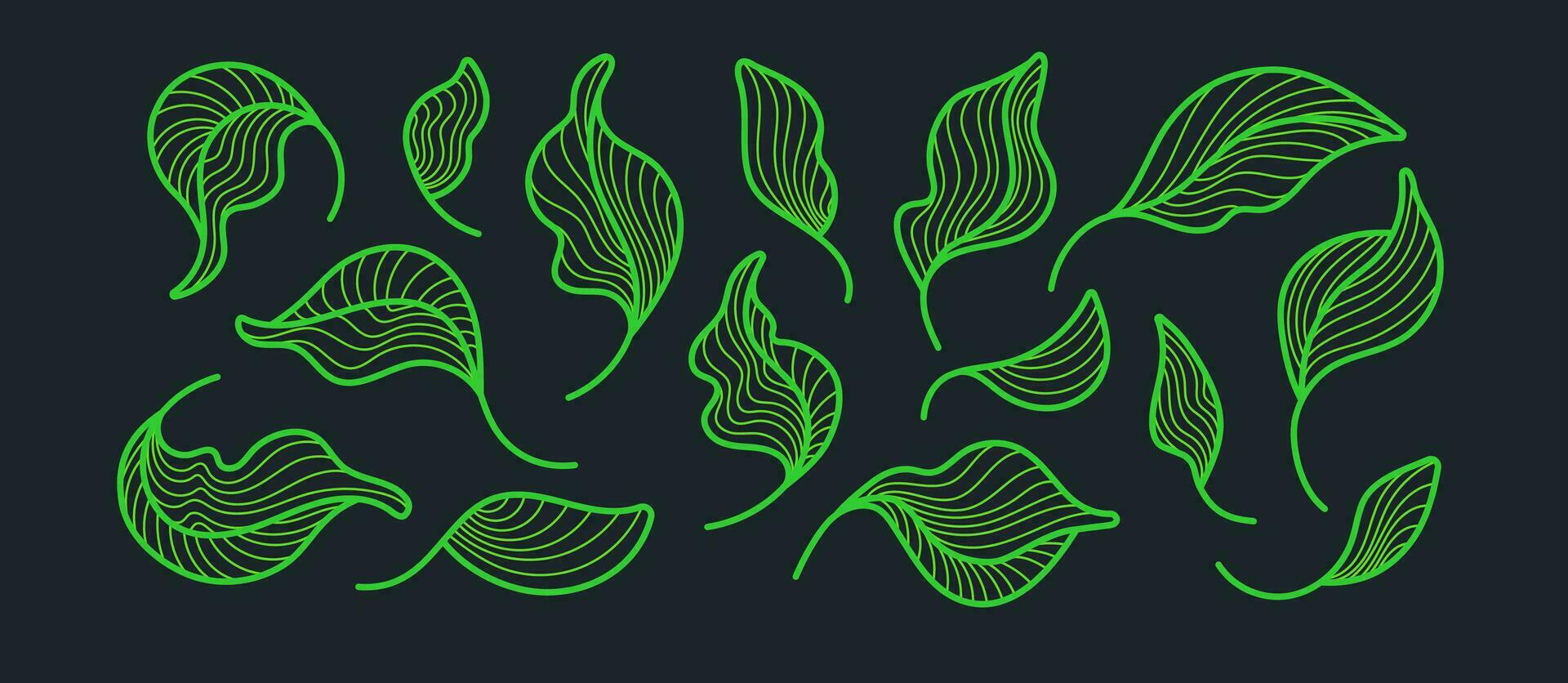 Tea leaves, art set. Graphic line, green foliage vector