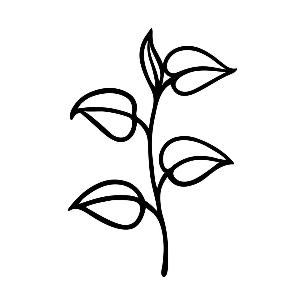 Tree sprout vector icon. Hand drawn doodle isolated on white. Shoot of a wild or garden plant, seedling. Shrub sapling, fresh spring twig with leaves. Botanical sketch. Clipart for print, labels, web