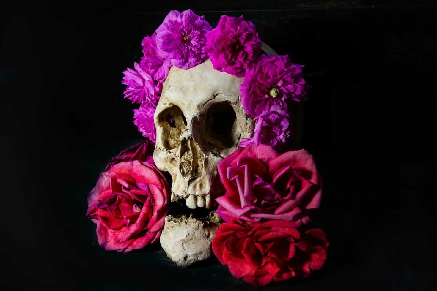 human skull with roses for day of the dead photo