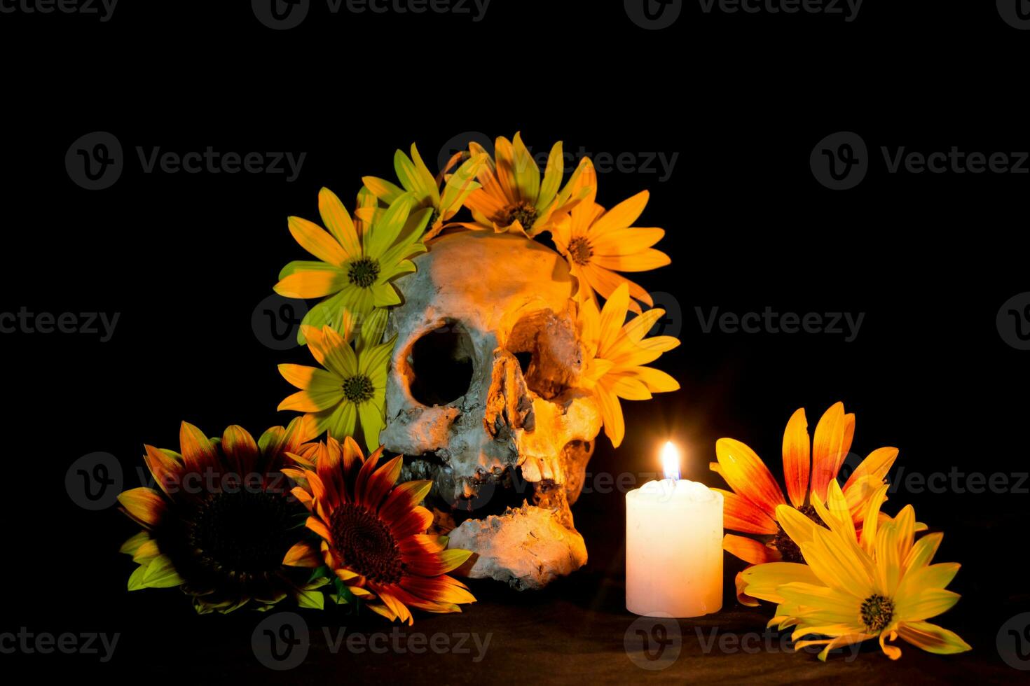 human skull with candles and flowers for the day of the dead photo