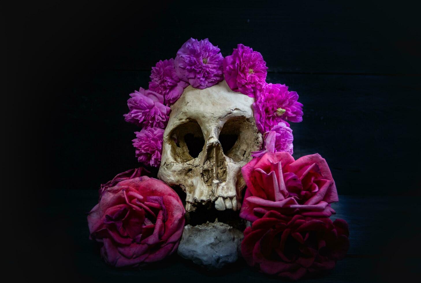 human skull with roses for day of the dead photo