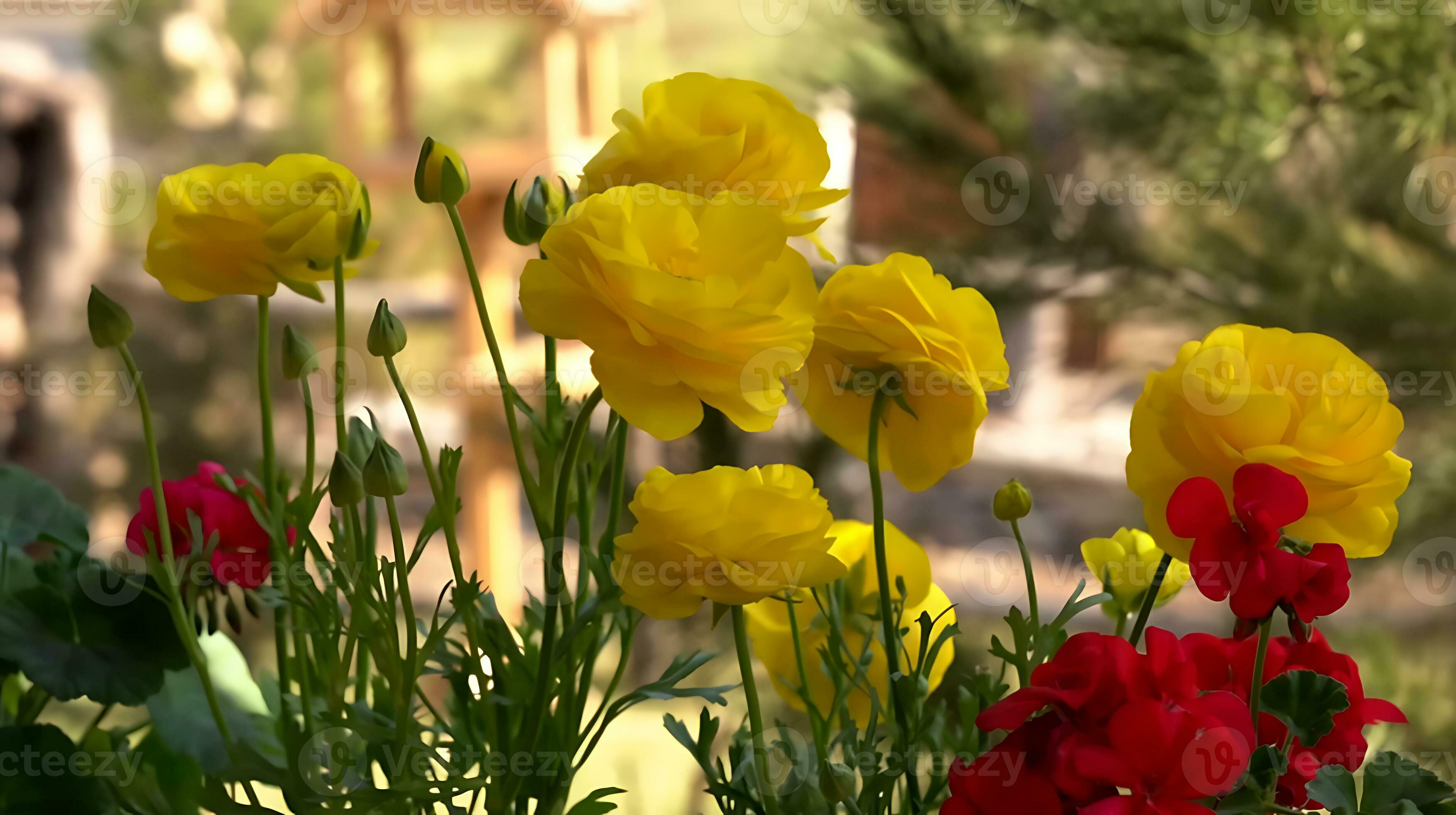 Many kind of jungle flowers, Various types of Rainforest flowers