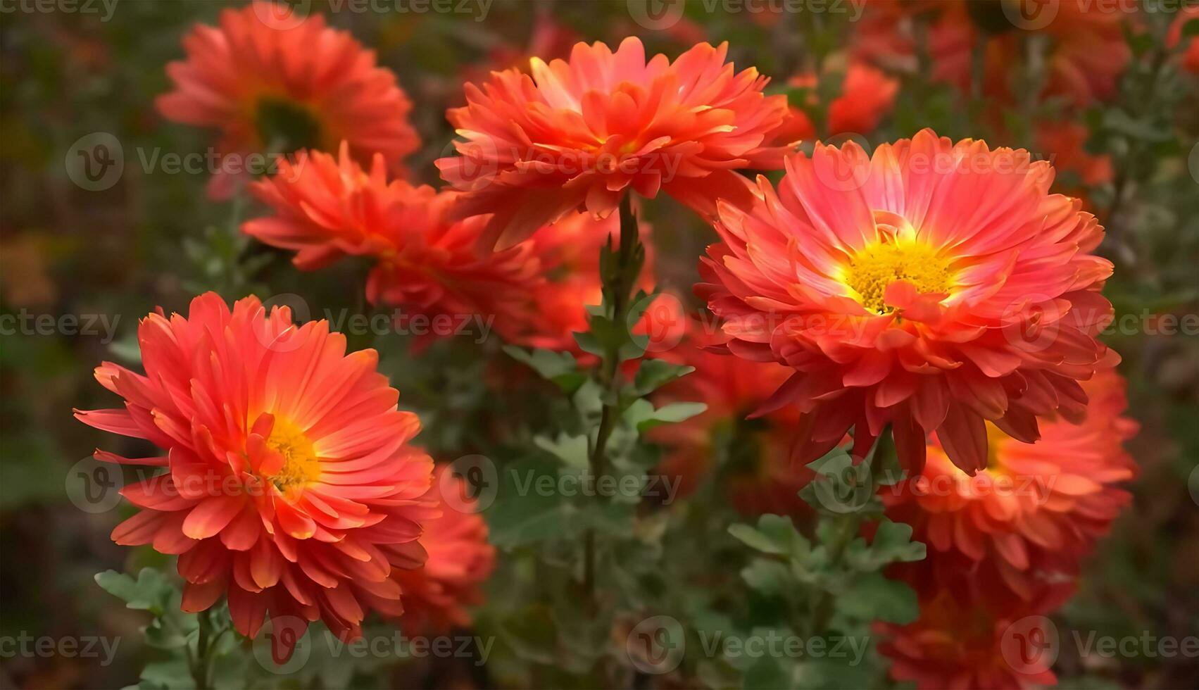 Many kind of jungle flowers, Various types of Rainforest flowers, including heliconias and passion flower. photo