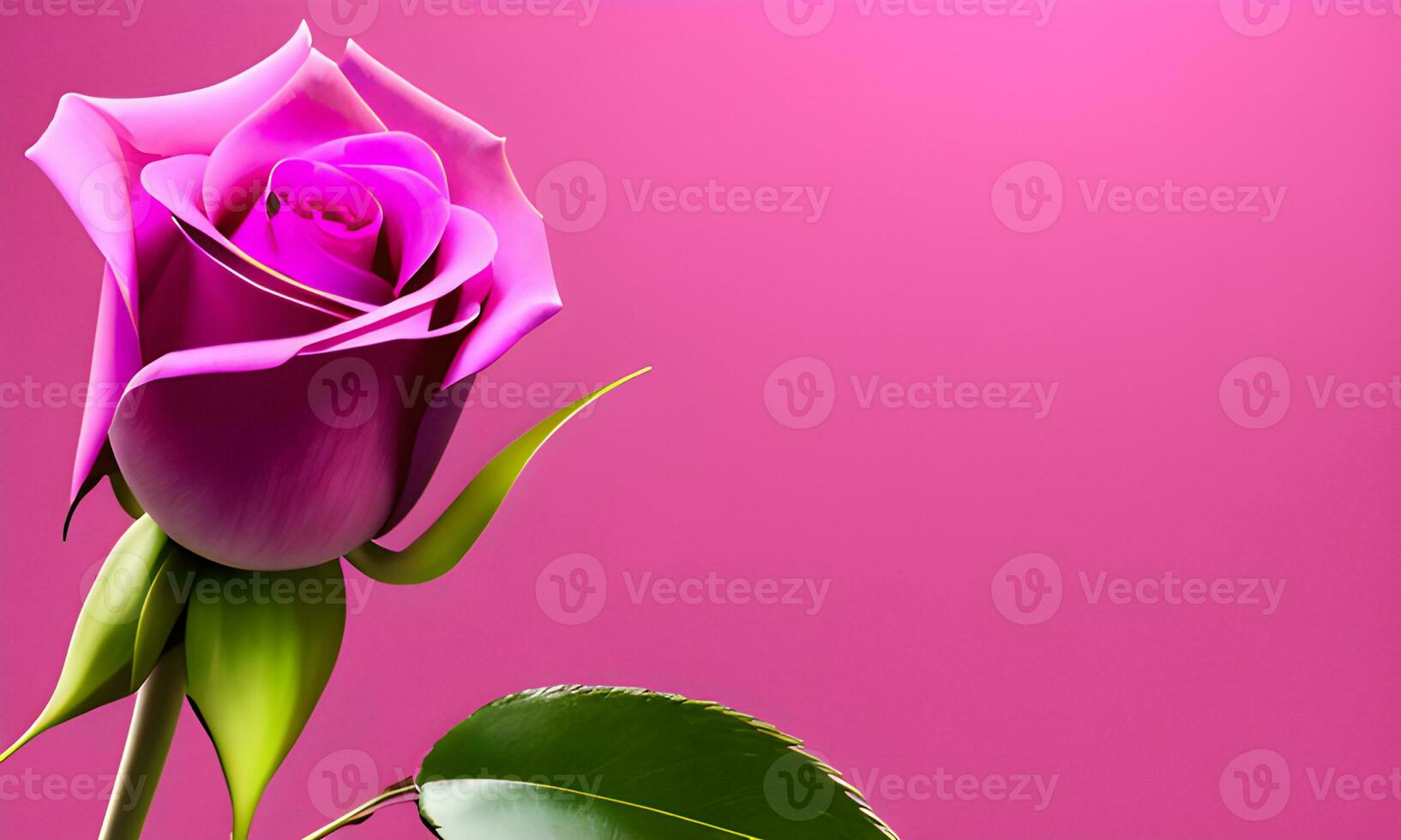 pink rose isolated background. AI generated photo