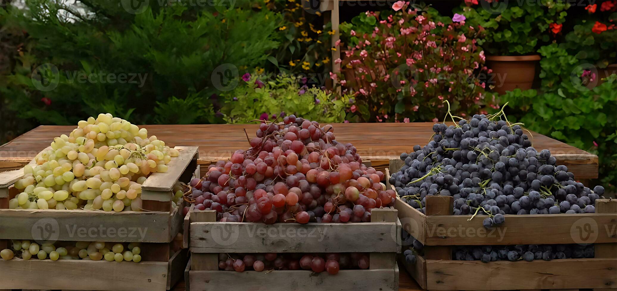 Bunch of different types of fresh grapes photo