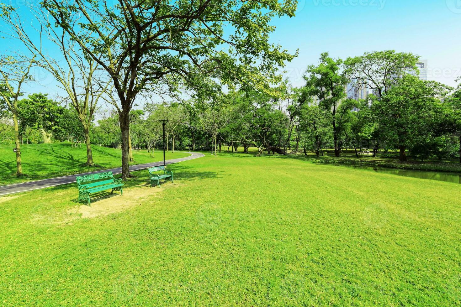 Beautiful morning light in public park with green grass field. photo
