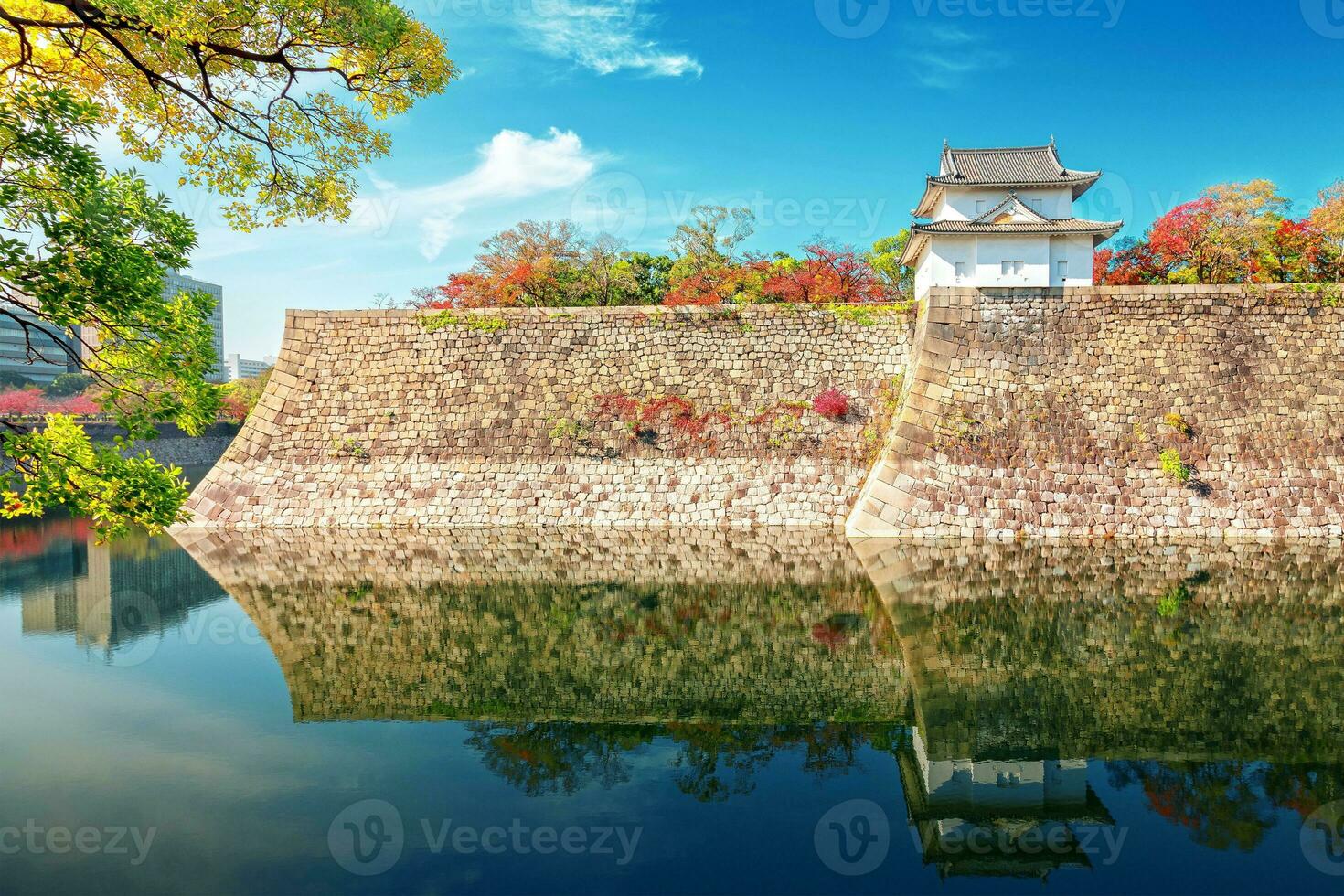 Red leaf garden and lake photo
