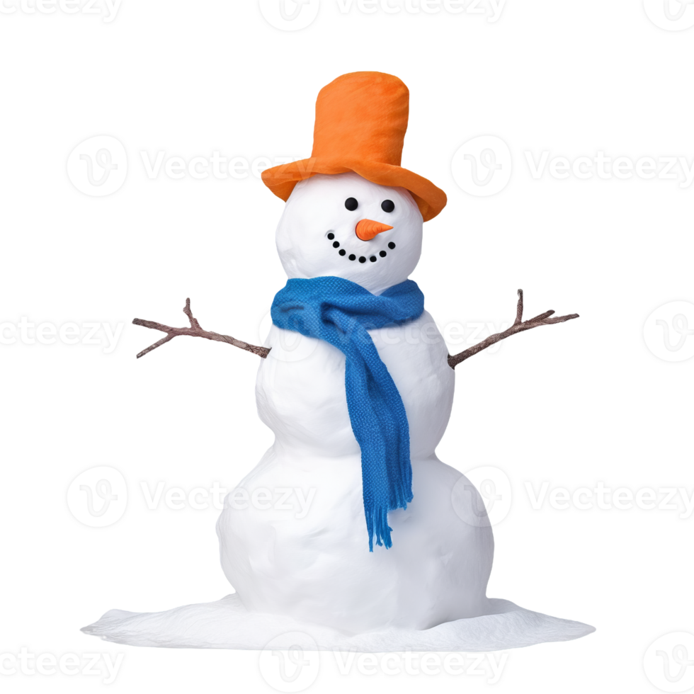 A snowman with hat and scarf isolated on transparent background png