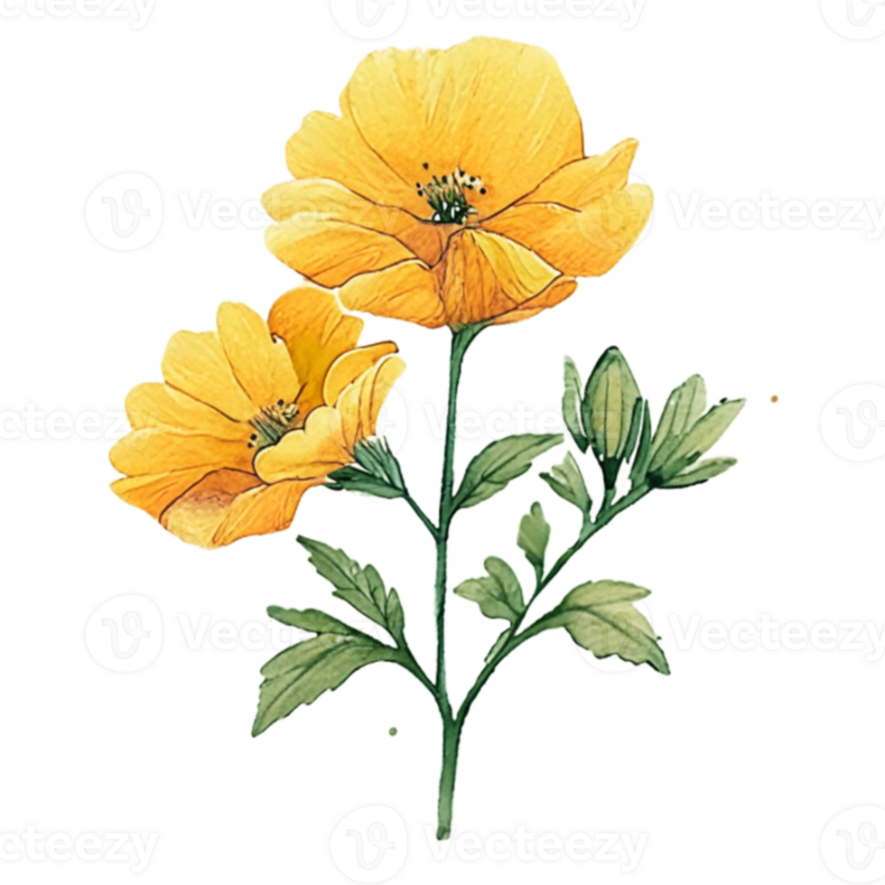 Buttercup Flowers Bouquet Beautiful  AI Gererative png