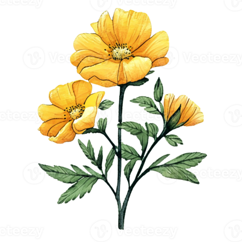 Buttercup Flowers Bouquet Beautiful  AI Gererative png