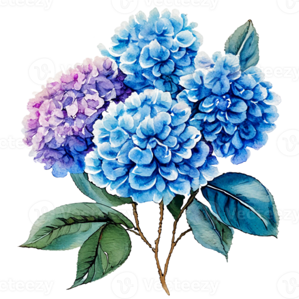 Hydrangea Flowers Bouquet Beautiful  AI Gererative png