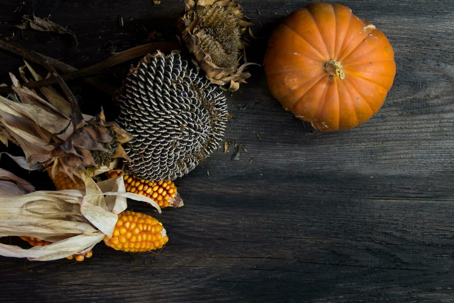 top view of autumn harvest with place for text photo