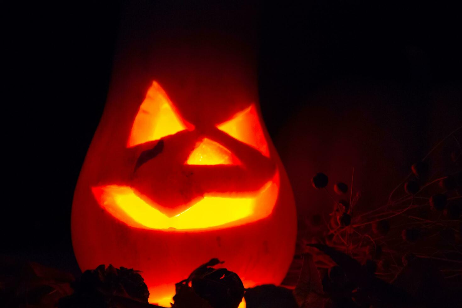 halloween candles and pumpkins in the dark photo