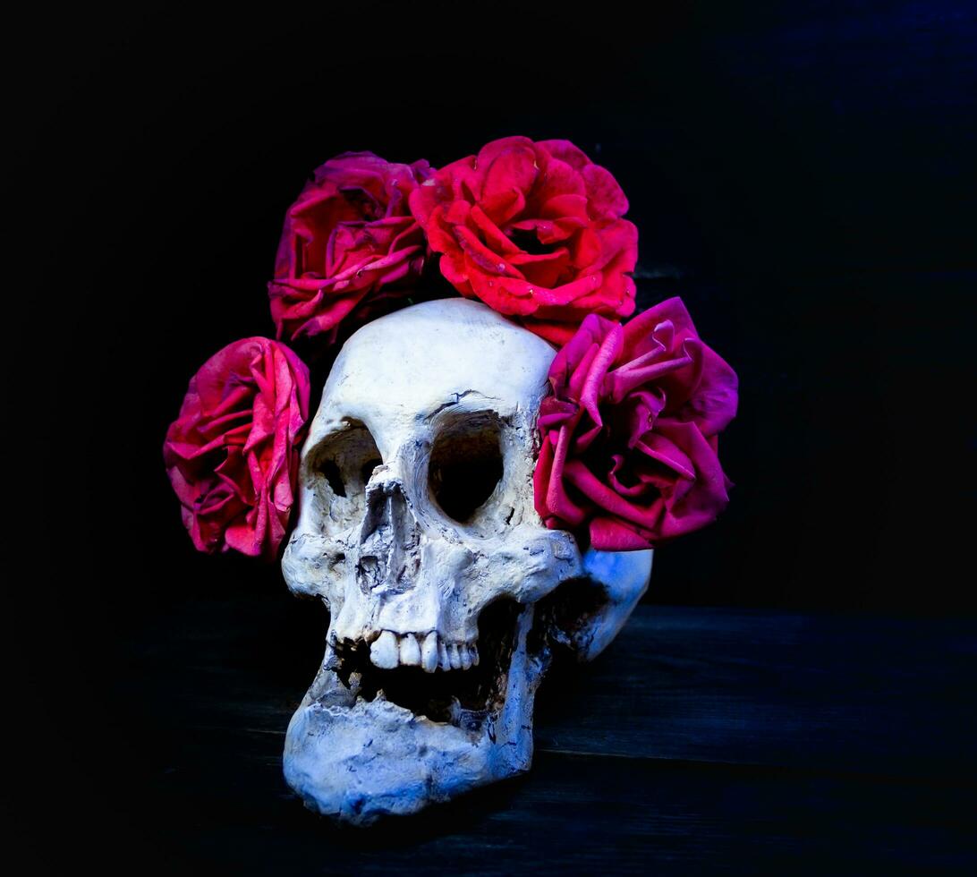 human skull with roses for day of the dead photo