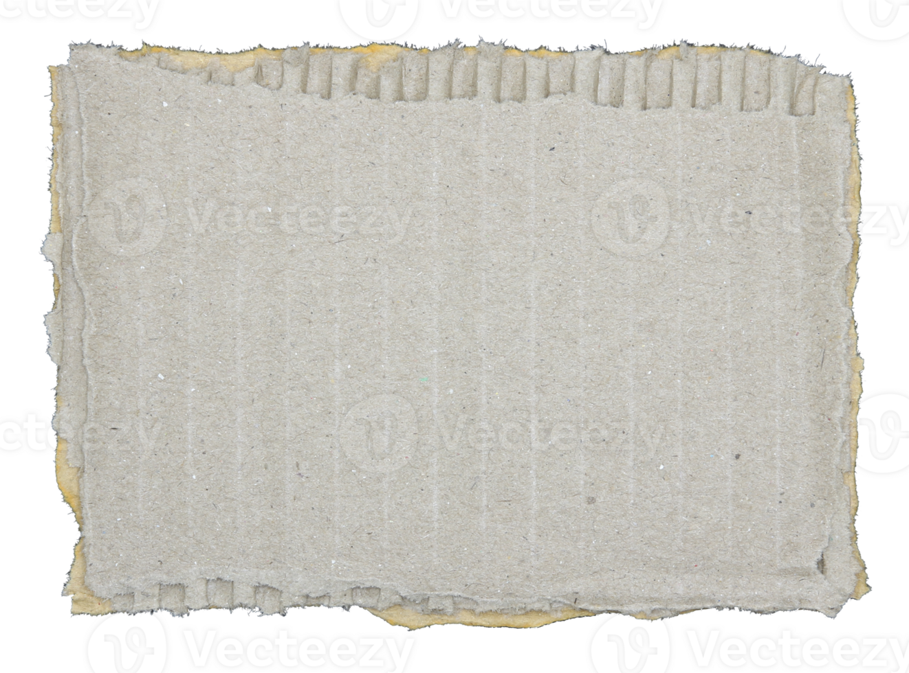 Torn pieces of corrugated paper on transparent background png file
