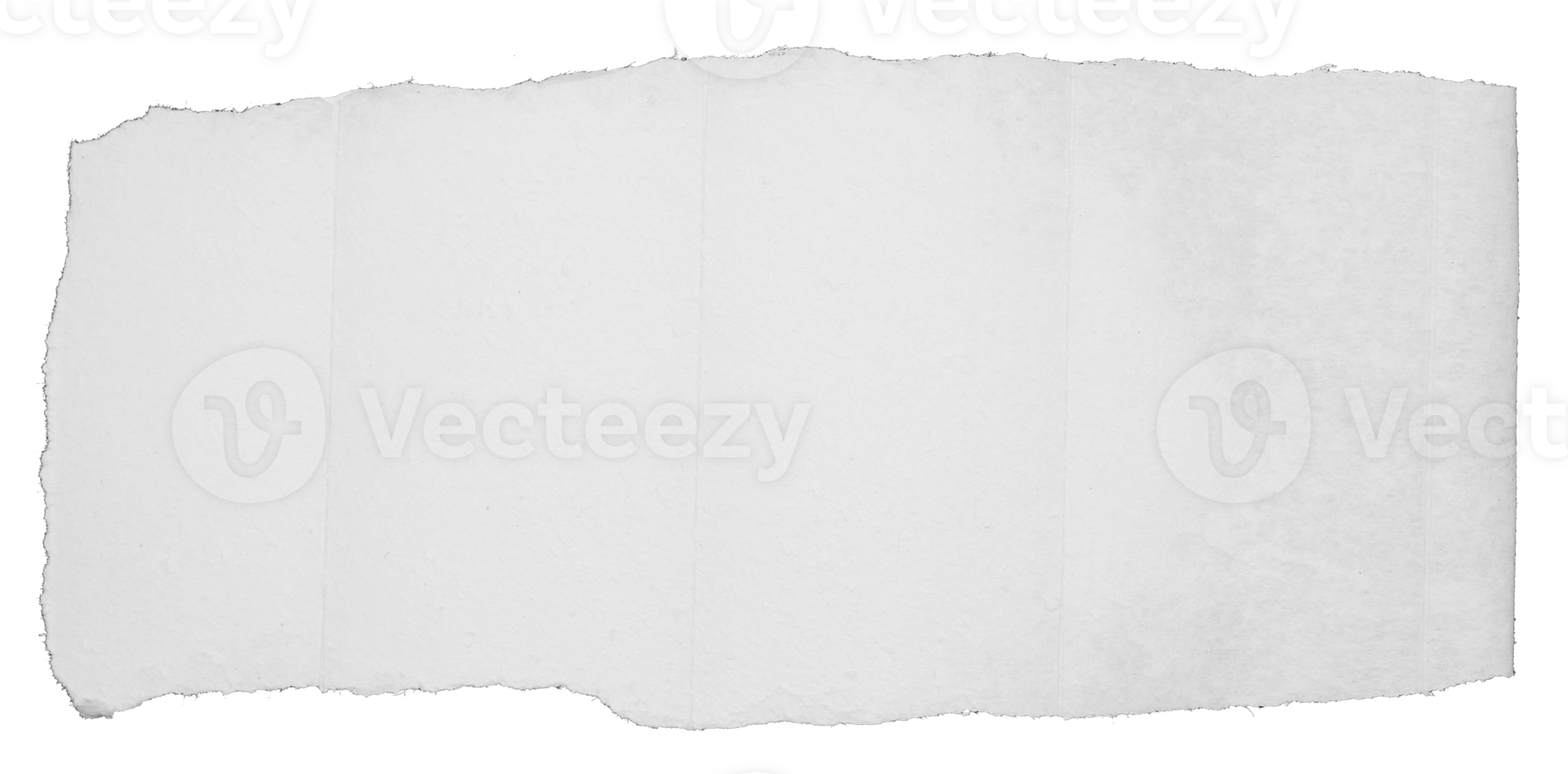 Pieces of torn scrapbook paper on transparent background png file