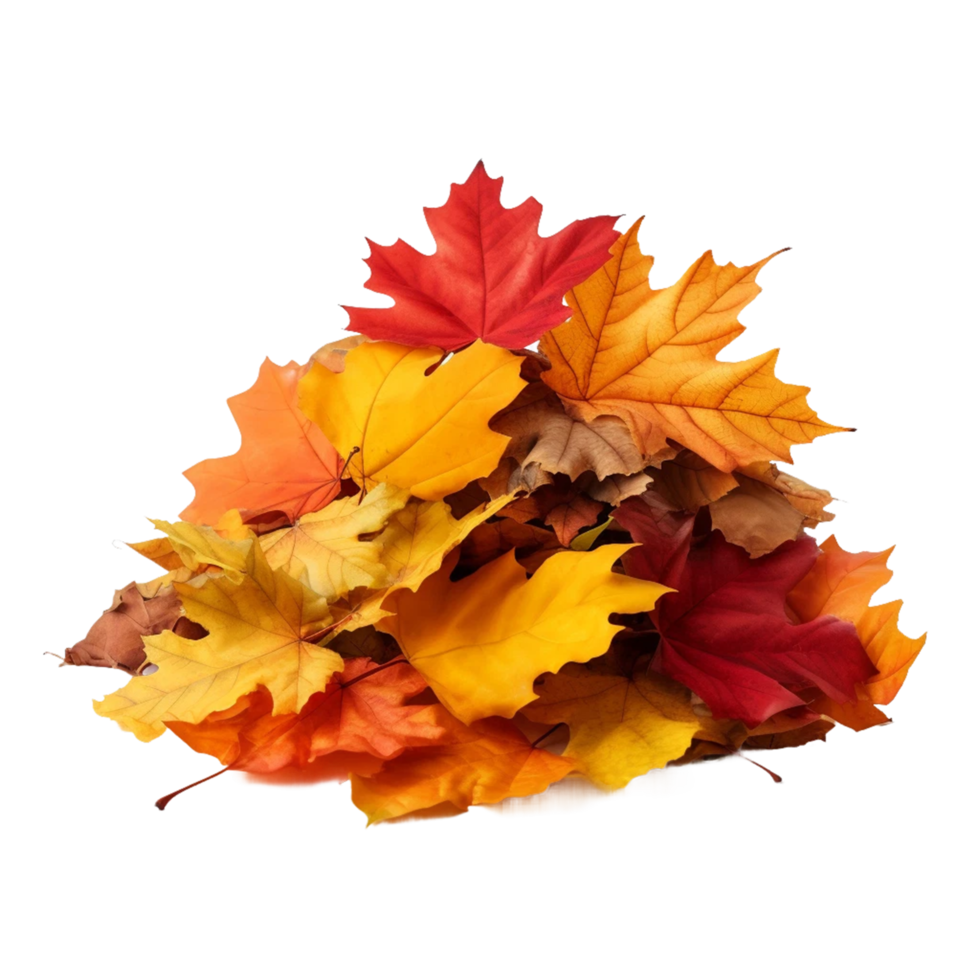 Pile of autumn leaves isolated on a transparent background AI Generative png