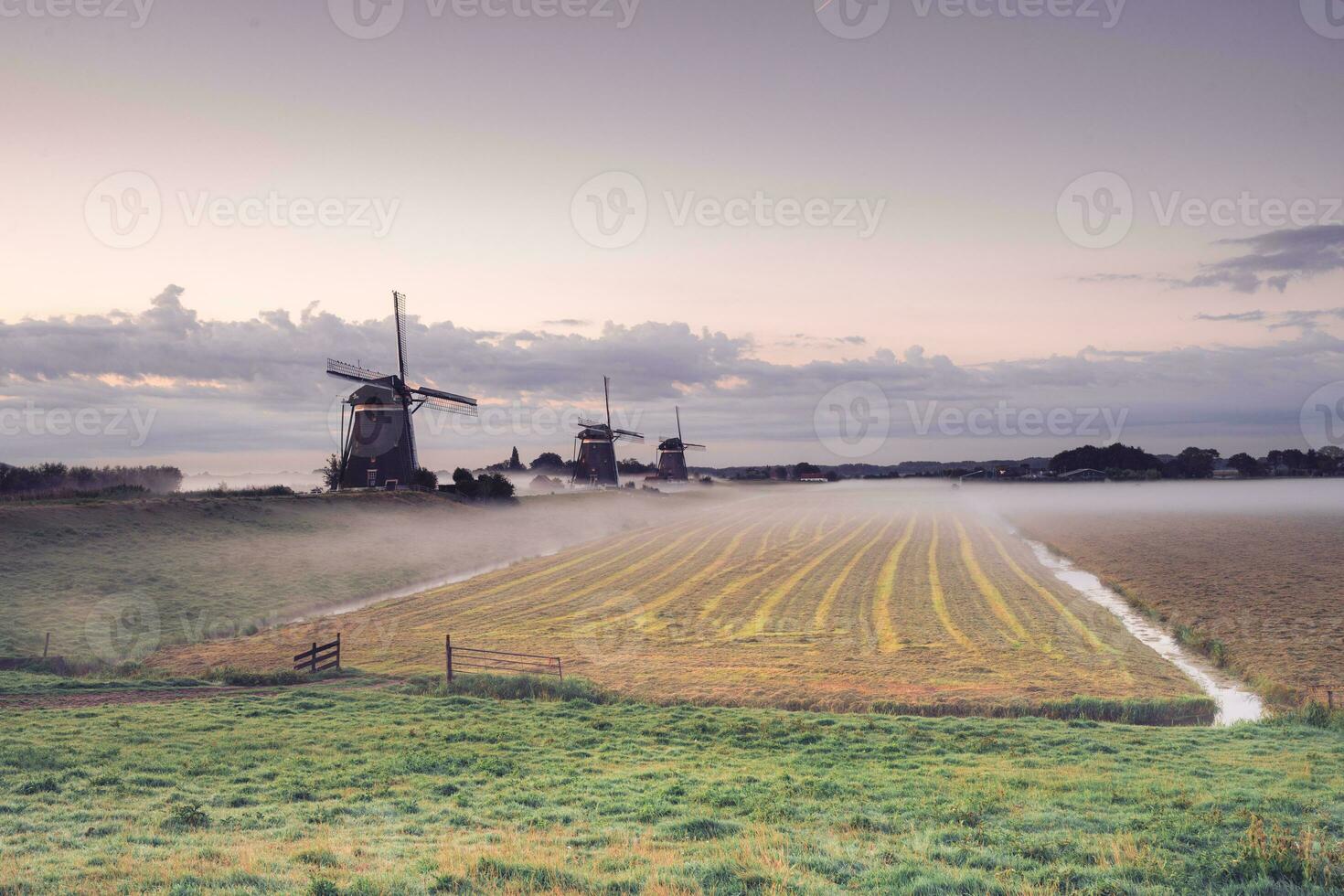 Mañana con niebla a el Tres molinos de viento a pisar fuerte, el Países Bajos. foto